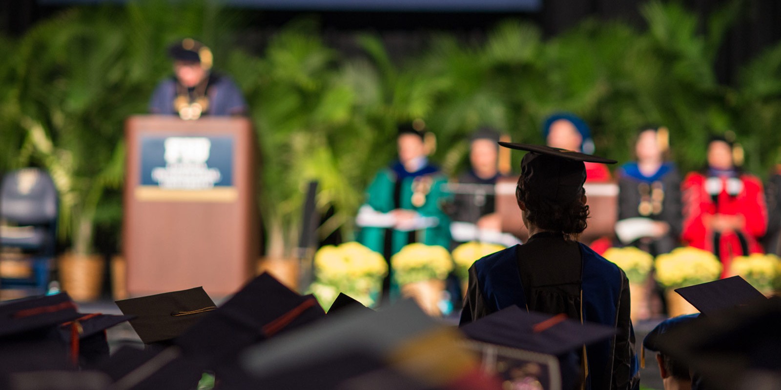 Fiu Classes Course Catalog