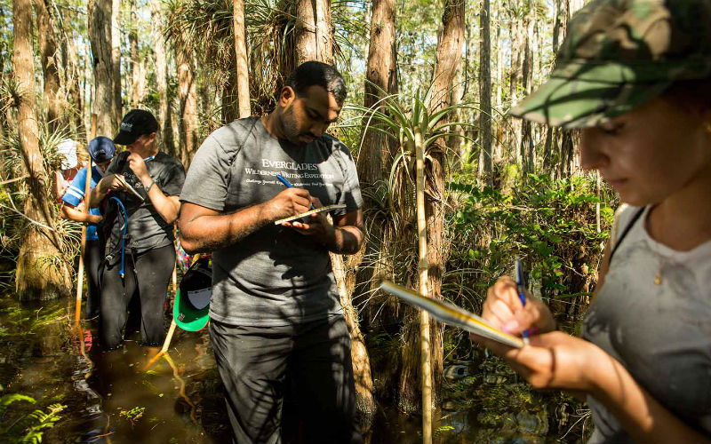 Students write in notebooks while wading through the Everglades