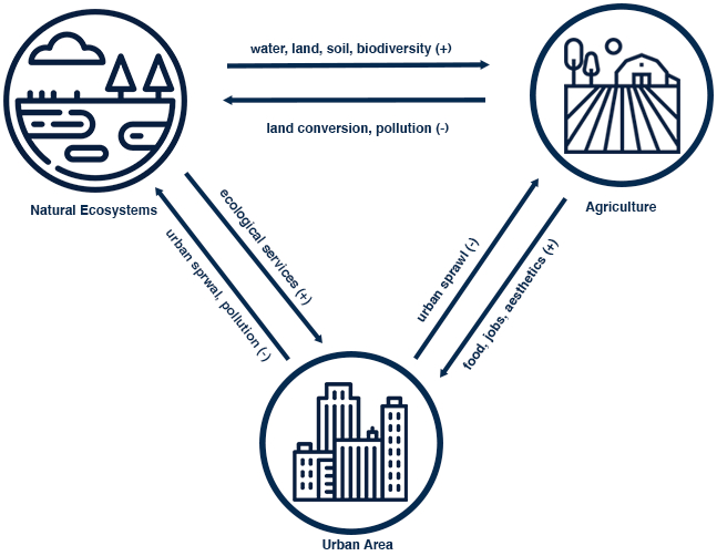 Agriculture-Natural Ecosystems-Urban Area interface diagram. Natural-Agriculture interface: water, land, soil, biodiversity; land conversion, pollution. Agriculture-Urban interface: food, jobs, aesthetics; urban sprawl. Urban-Natural interface: ecological services; urban sprawl, pollution.