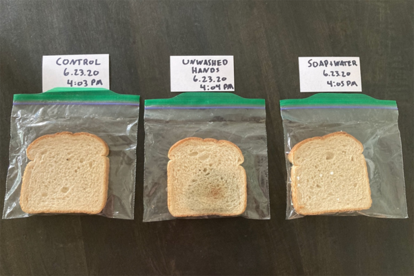 experiment-showing-significant-mold-growth-on-the-bread-slice-touched-with-unwashed-hands_-600x400.png