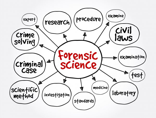 forensic-science-variables-650x491.jpeg