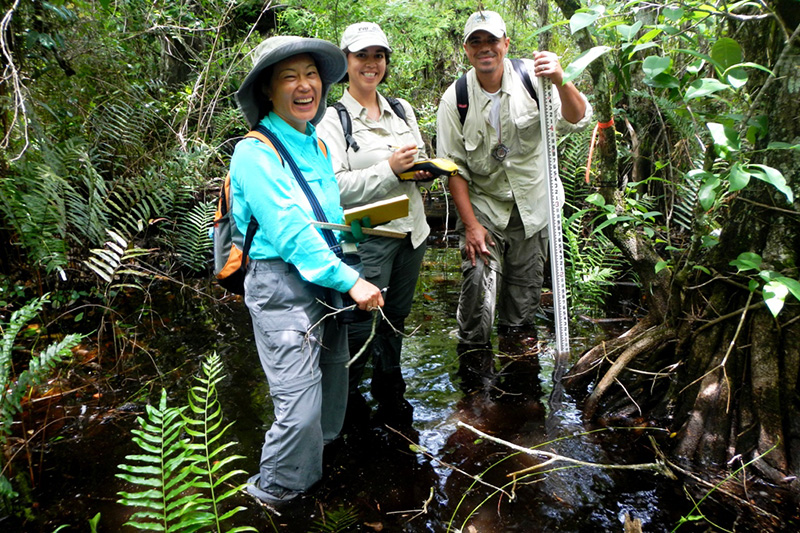 Liu and researchers in the forest
