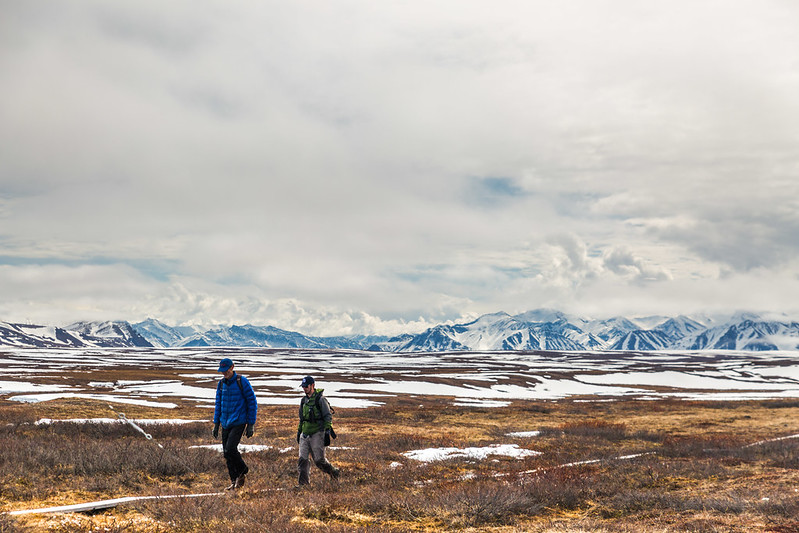 FIU scientists walking in Alaska