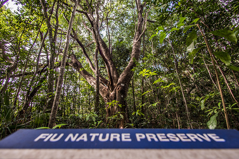 FIU Nature Preserve