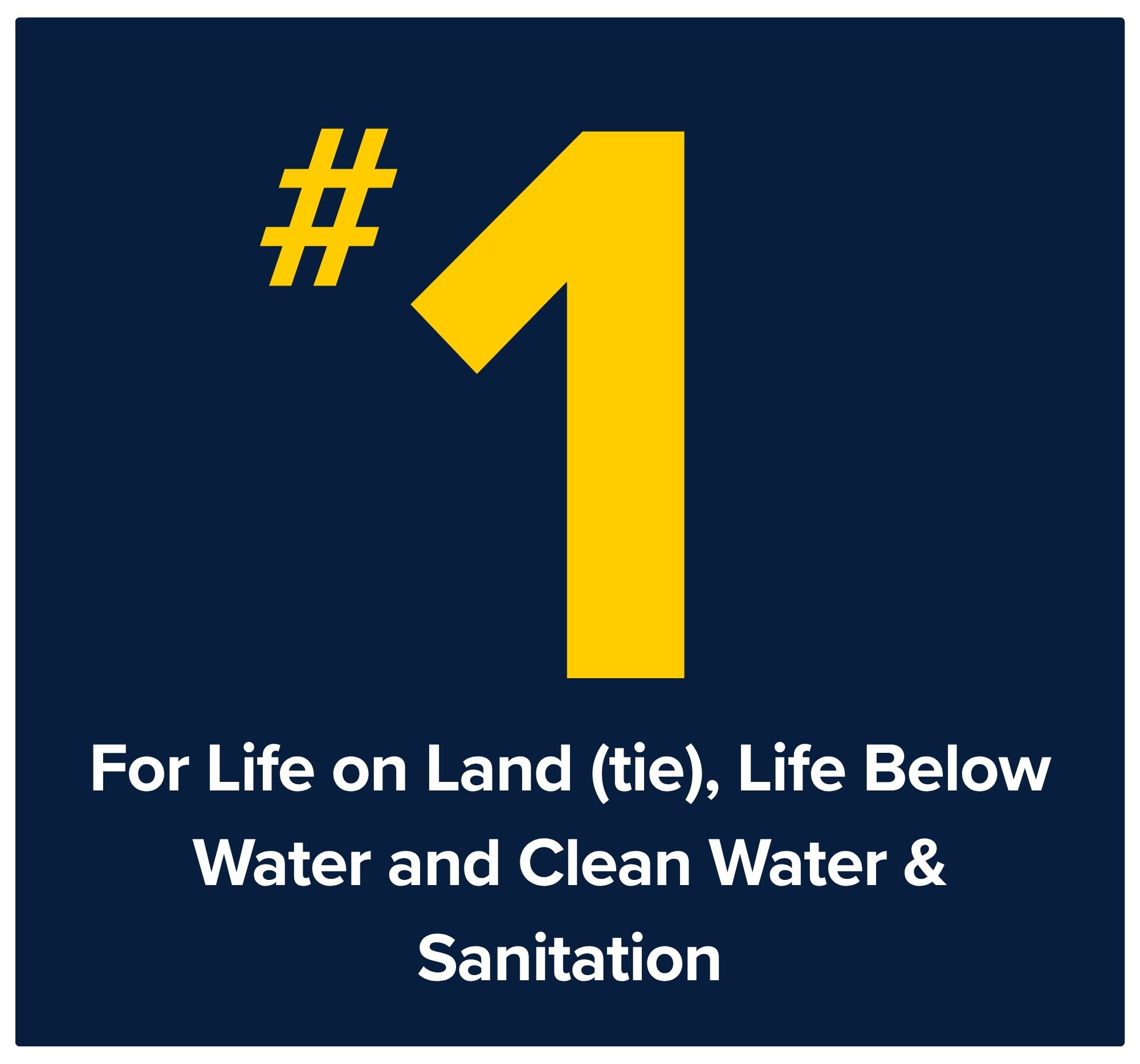 FIU is #1 for Life Below Water, Life on Land (tied) and Clean Water & Sanitation