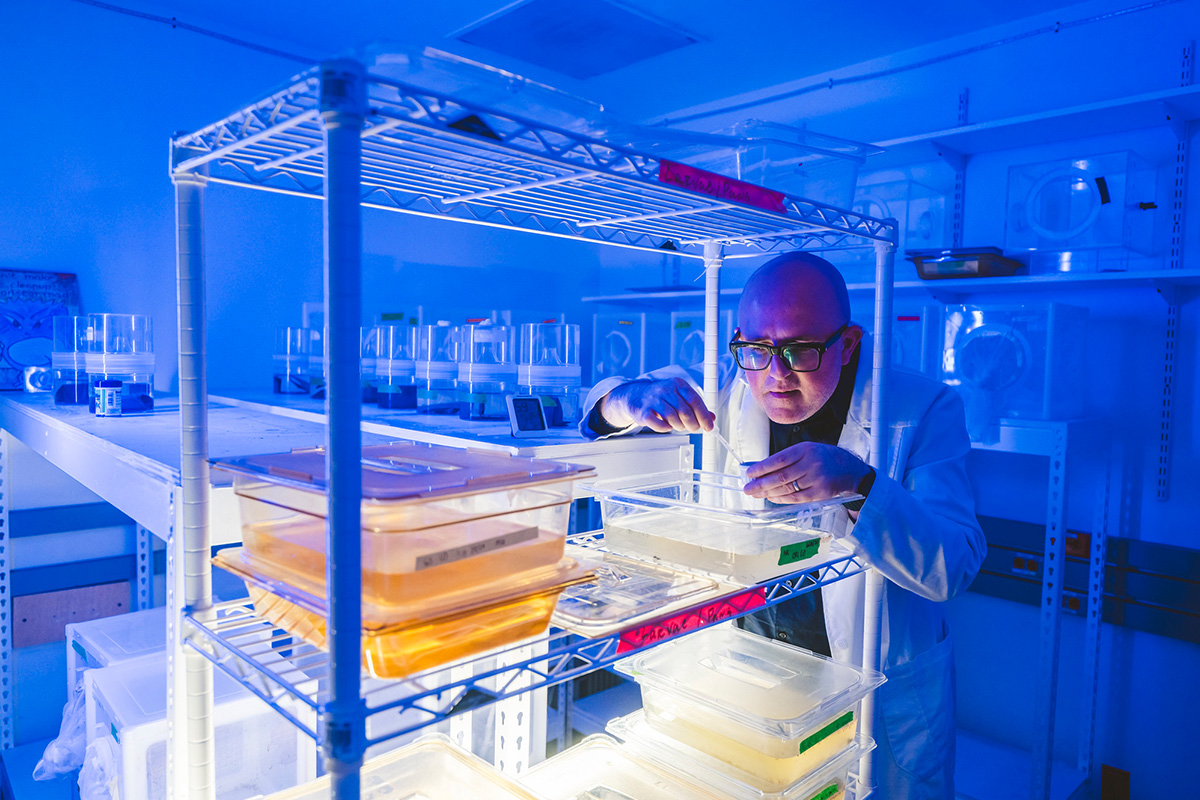 Matt Degennaro in his lab